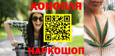 амф Камышлов